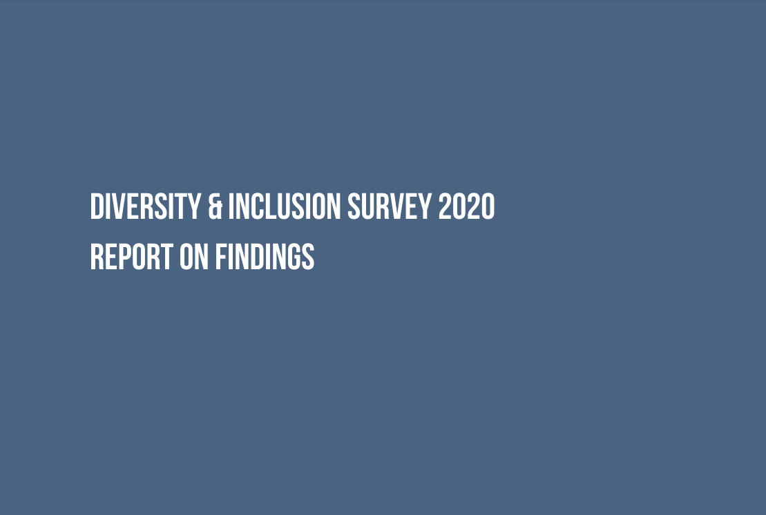 Diversity and Inclusion Survey